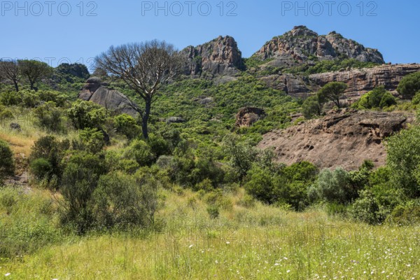 Rocher du roquebrune, Roquebrune-sur-Argens, near Saint-Raphaël, Massif de l'Esterel, Esterel Mountains, Département Var, Cote d'Azur, Provence-Alpes-Côte d'Azur, France
