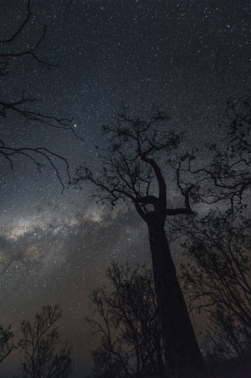 Milky Way Australian Outback, Australia