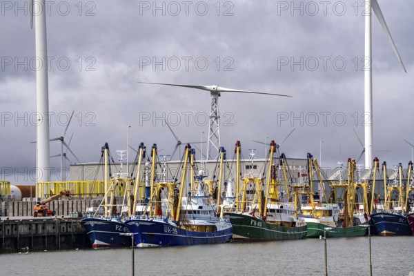 Fishing boats in Beatrixhaven, the seaport of Eemshaven, industrial harbour, at the quay, Netherlands