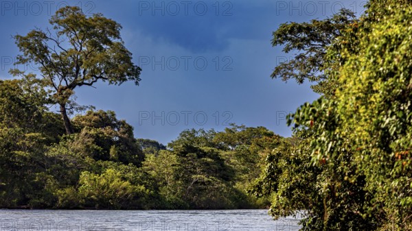 Waves on the river with dense forest while the sky is covered with clouds, The Iguazu River between Argentina and Brazil