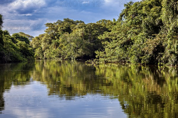 River landscape with dense forest and reflecting water under a cloudy sky, The Iguazu River between Argentina and Brazil