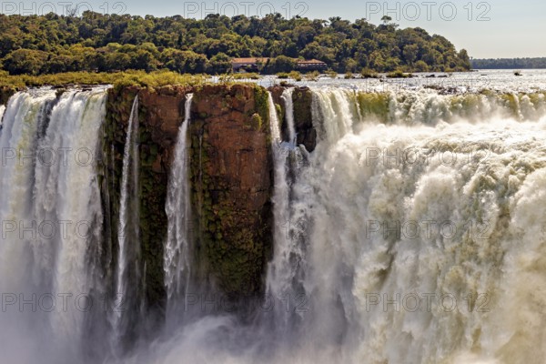 Water flows powerfully over rocks in a tropical environment with dense vegetation, The Iguazu Falls between Argentina and Brazil