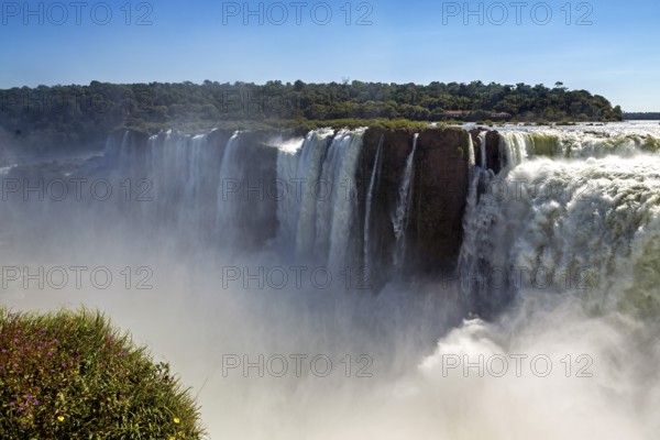 Spectacular view of a waterfall with heavy fog and green banks under a blue sky, The Iguazu Falls between Argentina and Brazil
