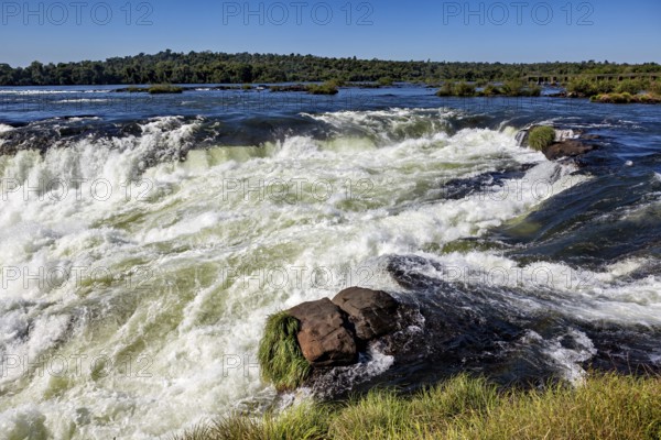 Rushing river with foaming water and rocks, surrounded by grasses under a blue sky, The Iguazu Falls between Argentina and Brazil