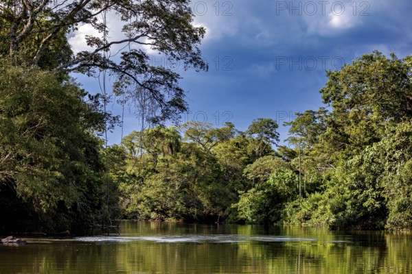 Clear waters of the river meander through dense trees under a calm sky, The Iguazu River between Argentina and Brazil