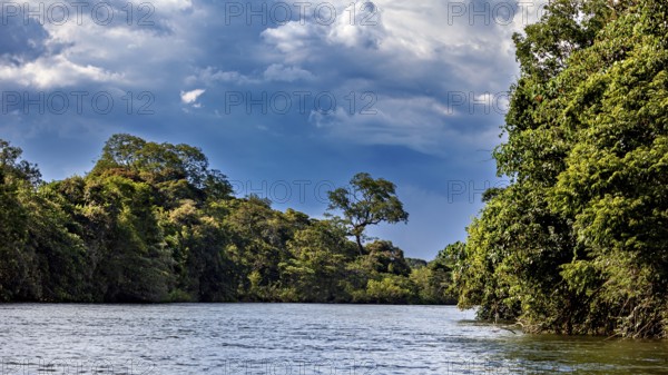 Wide river under a veiled sky, surrounded by dense forests, The Iguazu River between Argentina and Brazil