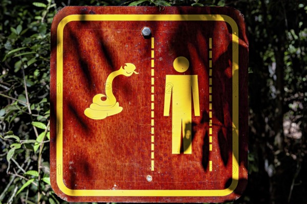 Warning sign in the forest with symbols of a snake and a human figure, An Orion Cecropian butterfly in the jungle of Iguazu Argentina (Historis odius)