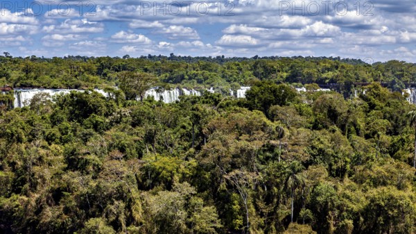 Dense forest under a sky with clouds, waterfalls are partially visible in the background, The Iguazu Falls between Argentina and Brazil