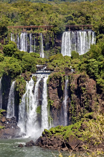 Diverse waterfalls embedded in the forest with green vegetation, The waterfalls of the Iguazu between Argentina and Brazil