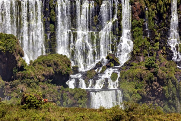 Close-up of lush moss-covered waterfalls and vegetation, The Iguazu Falls between Argentina and Brazil