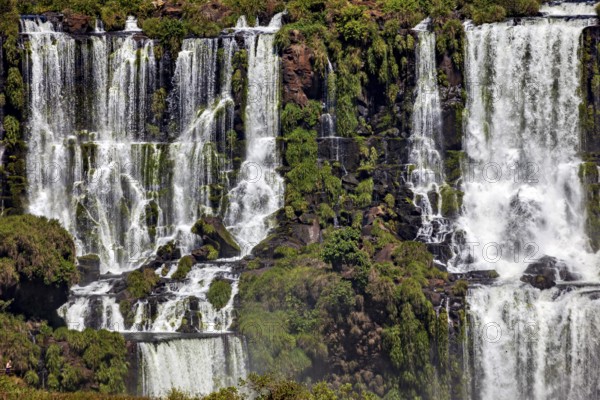 Many waterfalls flow over lush rocks with green vegetation, The Iguazu Falls between Argentina and Brazil