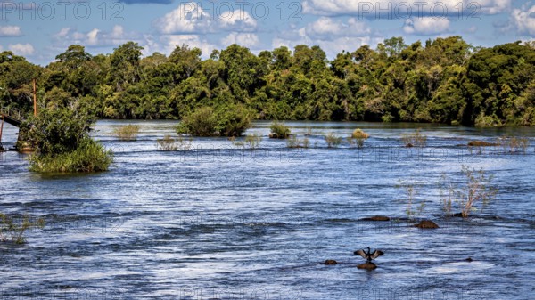 Wide river with trees along the riverbed and cloudy sky, The Iguazu River between Argentina and Brazil