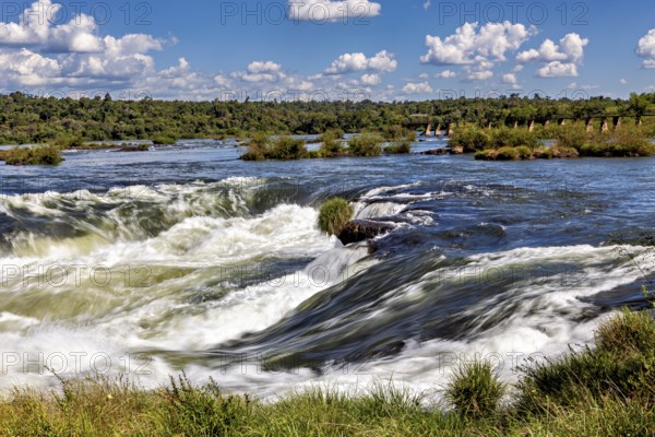 Powerful waterfall riverbed with surrounding trees and blue sky, The Iguazu River between Argentina and Brazil