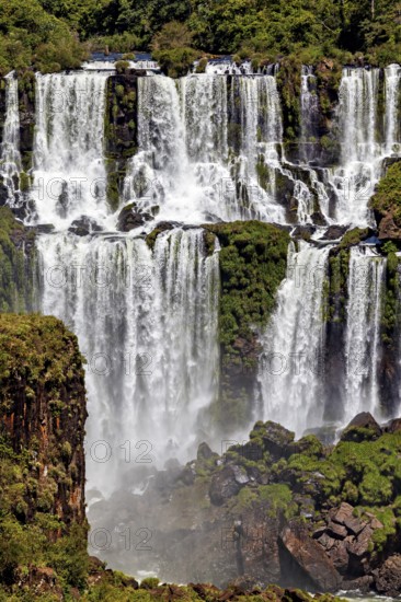 Several waterfalls flow over green rocks, surrounded by dense vegetation, The Iguazu Falls between Argentina and Brazil