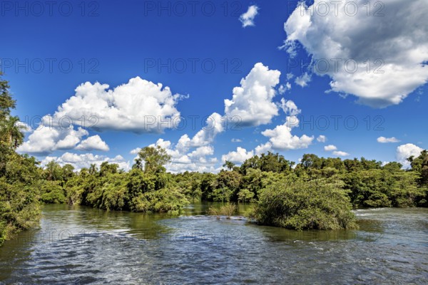 Calm river with lush trees and white clouds in a bright blue sky, The Iguazu River between Argentina and Brazil