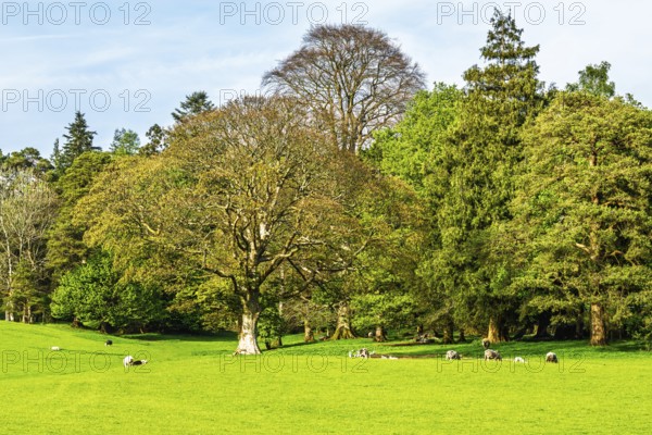 Farms in Lake District National Park, Cumbria, England, United Kingdom