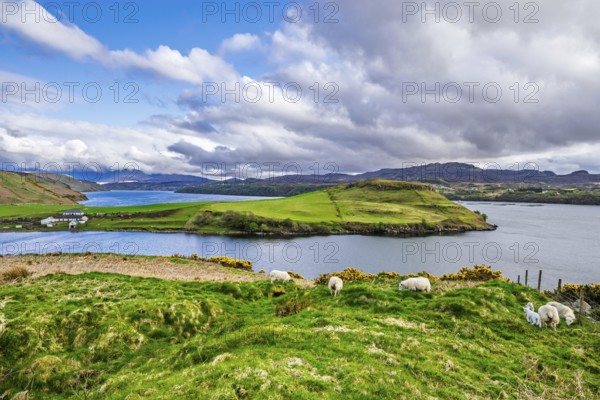 Farms over Loch Harport, Drynoch, Isle of Skye, Scotland, UK