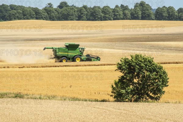 Landscape with threshing of grain with combine harvester at Ystad, Skåne county, Sweden, Scandinavia