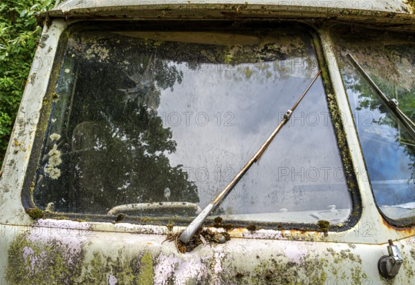 Old, weathered VW bus parked in a wooded area, Hesse, Germany