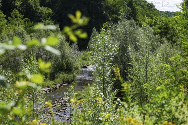 Bottrop, North Rhine-Westphalia, Germany - Renaturalised Boye, the tributary of the Emscher, was transformed into a near-natural watercourse, flood protection through newly designed flooding areas, the Boye is now free of sewage after the construction of a parallel sewer, is part of the Emscher river system and thus part of the Emscher conversion, was previously an open, above-ground wastewater channel, mixed water channel with surface water and wastewater