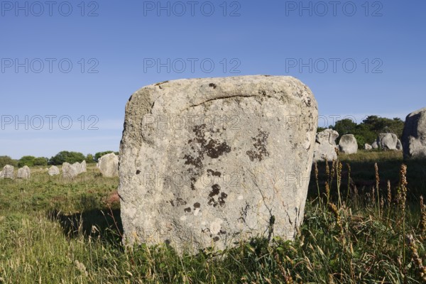 Megalithe, Alignements du Menec, Carnac, Department of Morbihan, Brittany, France