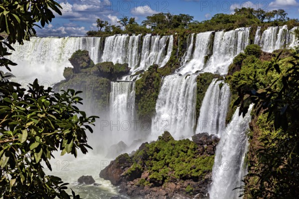 Tropical waterfalls surrounded by wooded cliffs, The Iguazu Falls between Argentina and Brazil