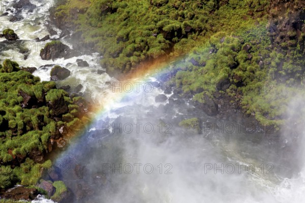 Colourful rainbow over a waterfall surrounded by lush greenery, The Iguazu Falls between Argentina and Brazil