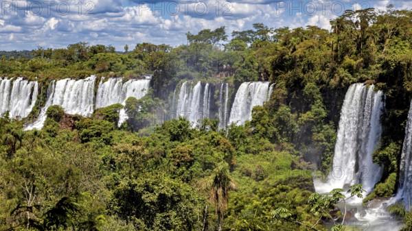Panoramic view of several waterfalls in the middle of a dense, green forest under a blue sky, The Iguazu Falls between Argentina and Brazil