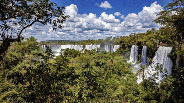 Dense vegetation surrounds the powerful flowing waterfalls under a cloudy sky, The Iguazu Falls between Argentina and Brazil