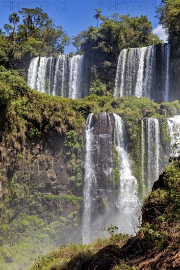 High waterfalls flow through lush green vegetation in sunny weather, The Iguazu Falls between Argentina and Brazil