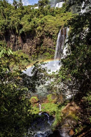 View through dense vegetation to a waterfall with a rainbow in the sunlight, The Iguazu Falls between Argentina and Brazil