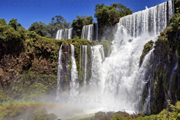 High waterfalls surrounded by lush vegetation under a bright blue sky, The Iguazu Falls between Argentina and Brazil