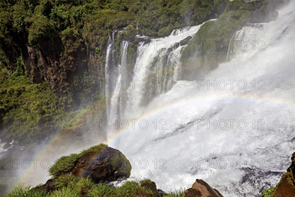 Powerful waterfall with spray and rainbow over mossy rocks in a natural setting, The Iguazu Falls between Argentina and Brazil