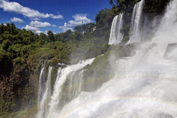 Mighty waterfalls with rainbows and dense spray in the lush forest under a clear sky, The Iguazu Falls between Argentina and Brazil