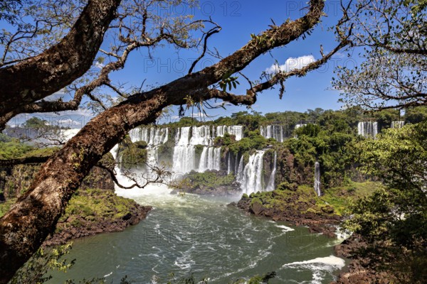 Majestic waterfall with a view of green forest under a blue sky, The Iguazu Falls between Argentina and Brazil