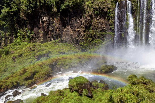 Rainbow over gushing water of a waterfall in green surroundings, The waterfalls of the Iguazu between Argentina and Brazil