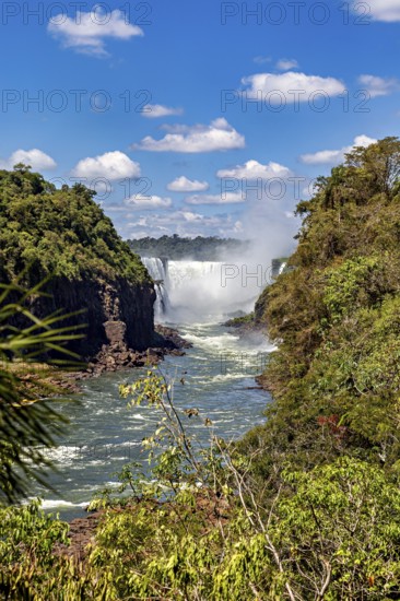 River flowing between overgrown banks with waterfall in the background, The Iguazu Falls between Argentina and Brazil