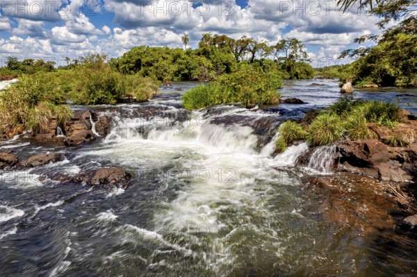 Tranquil river landscape with rapids and surrounding vegetation, the Iguazu waterfalls between Argentina and Brazil