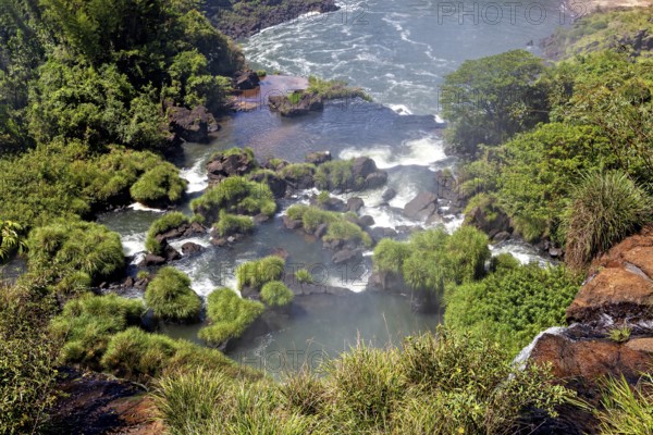 Close-up view of a partly calm river, surrounded by dense vegetation and rocks, The Iguazu Falls between Argentina and Brazil