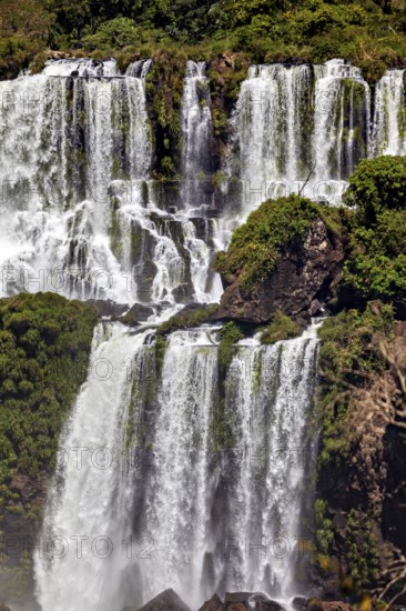 Stepped waterfall with dense vegetation on the rocks, powerful flow, The Iguazu Falls between Argentina and Brazil