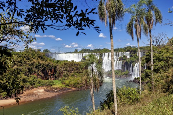 Picturesque views of waterfalls and palm trees offer a tropical panorama under a bright blue sky, The Iguazu Falls between Argentina and Brazil