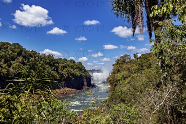 River and waterfall in the middle of a green jungle, The Iguazu Falls between Argentina and Brazil