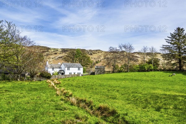 Farms, Ullswater Lake, Lake District National Park, Cumbria, England, United Kingdom