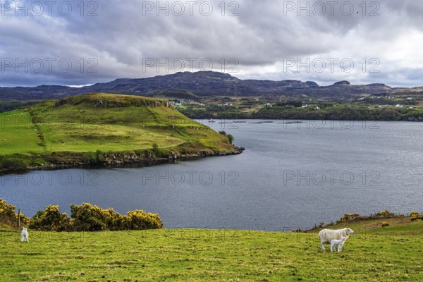 Farms over Loch Harport, Drynoch, Isle of Skye, Scotland, UK