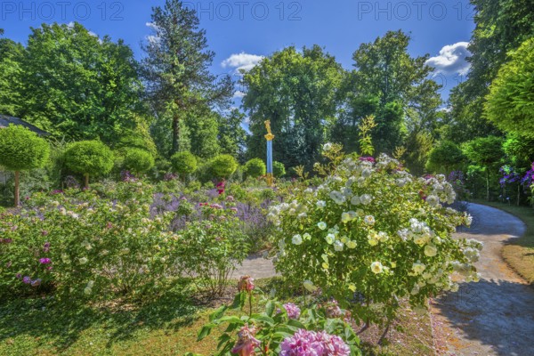 Rosarium with blooming roses and lavender on the Rose Island in Lake Starnberg, Feldafing, Upper Bavaria, Bavaria, Germany