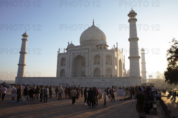 Taj Mahal or Taj Mahal in the morning light, mausoleum, Agra, Uttar Pradesh, India