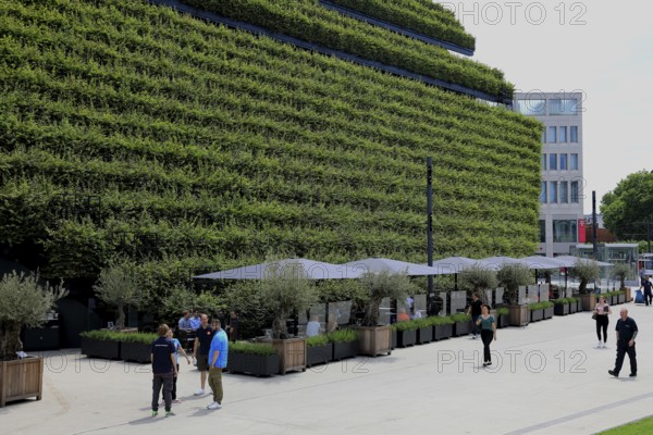 Climate protection. Europe's largest green façade 30, 000 young hornbeams thrive on the roof and sloping walls of the Kö-Bogen 2 commercial complex, Düsseldorf, North Rhine-Westphalia, Germany