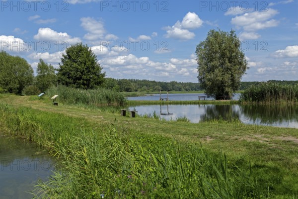 Fish ponds, Fischers Land Boek, Mecklenburg Lake District, Mecklenburg-Western Pomerania, Germany