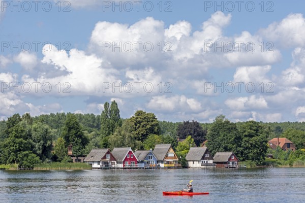 Boathouses, holiday homes on Lake Mirow, canoe, Mirow, Mecklenburg Lake District, Mecklenburg-Western Pomerania, Germany
