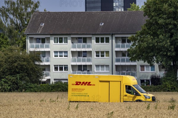 DHL parcel van, electric vehicle, on the way to a customer, rural, driving along a dirt track through a corn field, North Rhine-Westphalia, Germany